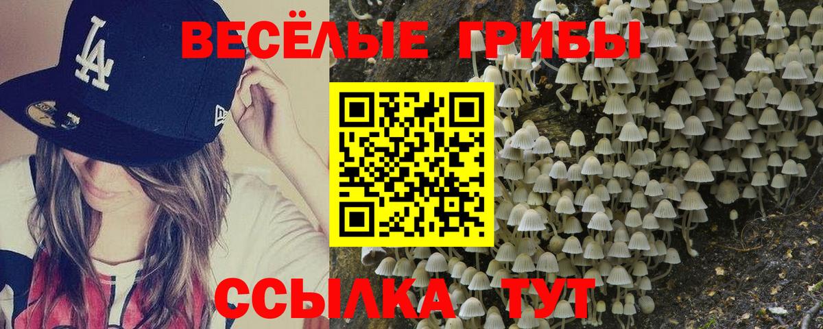 Галлюциногенные грибы MAGIC MUSHROOMS  Вход с VPN  Галлюциногенные грибы Psilocybe  купить наркотики цена  Соликамск 