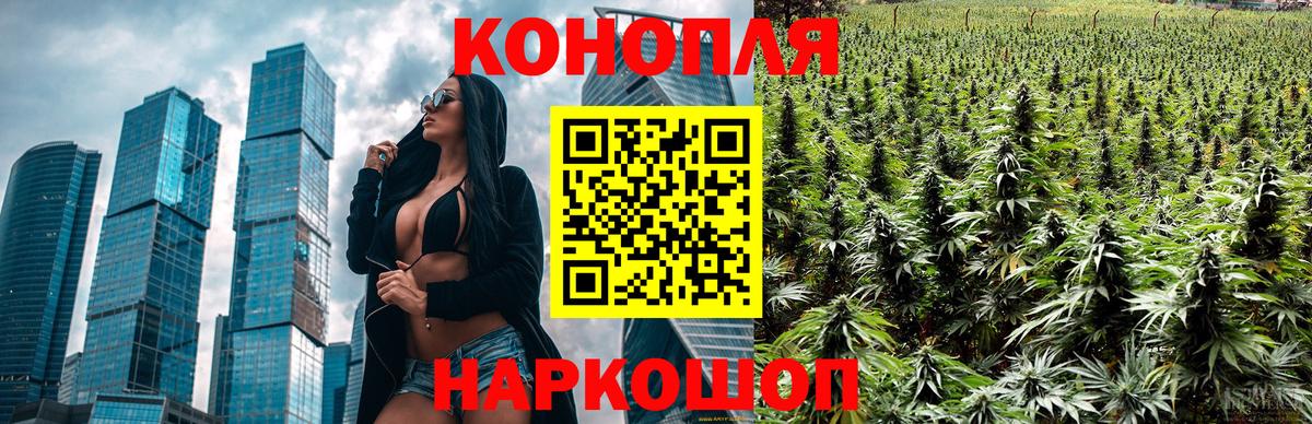 Шишки марихуана тримм  Вход с VPN  Шишки марихуана индика  Шишки марихуана THC 21%  Соликамск  МАРИХУАНА SATIVA & INDICA 
